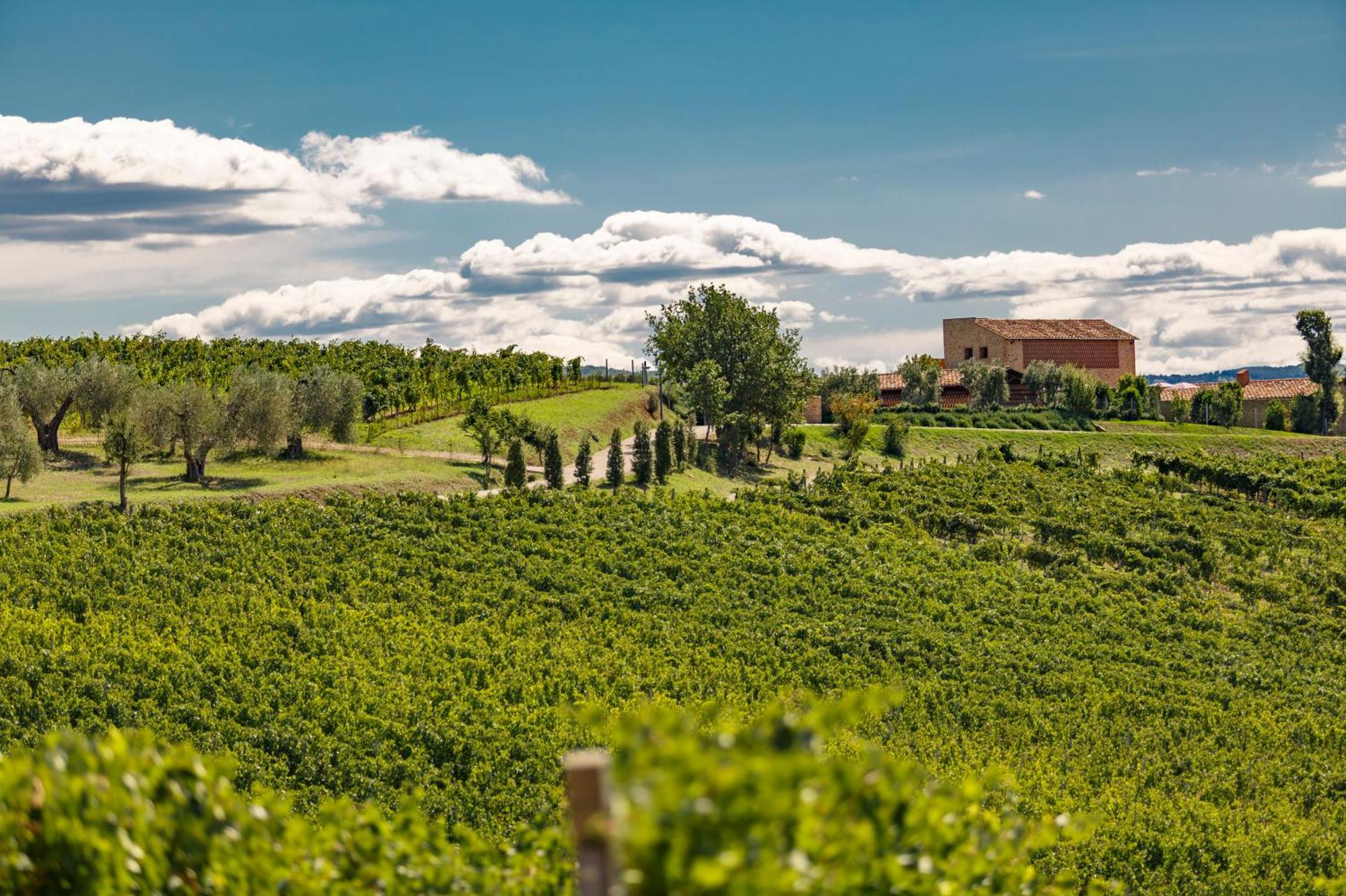 Tenuta Di Montecucco - Collemassari Hospitality Cinigiano Ngoại thất bức ảnh